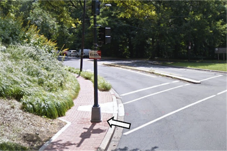 Overgrown bush is partly blocking the path.